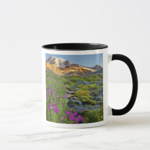 Tasse États-Unis, Parc national du Mont Rainier, Washing