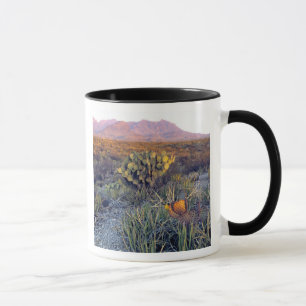 Tasse États-Unis, Texas, Big Bend NP. Un crépuscule rose
