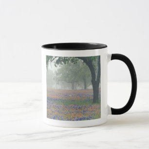 Tasse États-Unis, Texas. Pinceau de Texas et bleuets