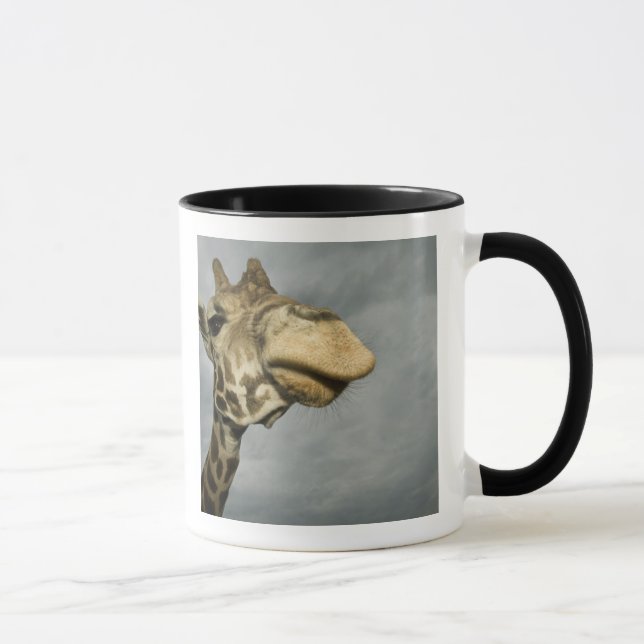 Tasse Etats-Unis, Texas, Réserve faunique de la Rim Foss (Droite)
