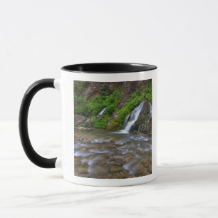 Tasse États-Unis, Utah, parc national de Zion. Big Spri