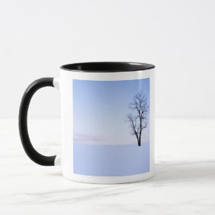 Tasse États-Unis, Virginie, comté de Page, Black Locust