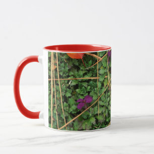 Tasse États-Unis, Washington, comté de Spokane, Feuilles