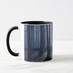 Tasse États-Unis, Washington, Orcas Island, Moran State