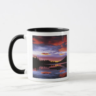 Tasse États-Unis, Washington, Parc national du mont Rain