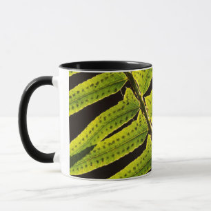 Tasse États-Unis, Washington, Parc national Olympique, C