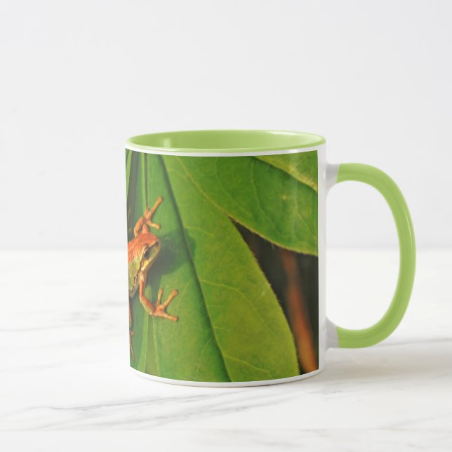 Tasse États-Unis, Washington, Seattle, Discovery Park 2 (Droite)