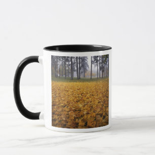 Tasse États-Unis, Washington, Spokane, Manito Park, Auto