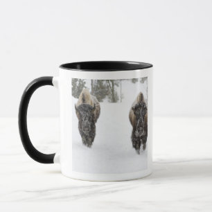 Tasse États-Unis, WY, parc national de Yellowstone, Biso