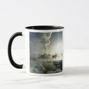 Tasse États-Unis, Wyoming, Parc national de Yellowstone.