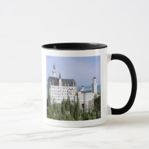 Tasse Europe, Allemagne, château de Neuschwanstein, cons