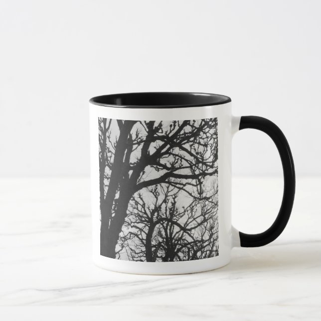 Tasse Europe, France, Paris. Les arbres d'hiver, Marco (Droite)
