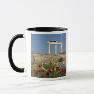 Tasse Europe, Grèce, Cyclades, Délos. Ruines de colonnes