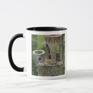 Tasse Europe, Irlande, Château de Blarney. CETTE IMAGE
