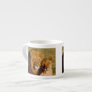 Tasse Expresso Afrique, Namibie, Okonjima. Lion & lionne