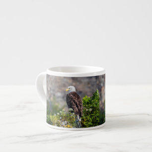 Tasse Expresso Aigle bald assis sur le rocher