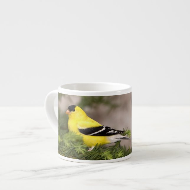 Tasse Expresso Américain Goldfinch mâle dans un arbre (Devant gauche)