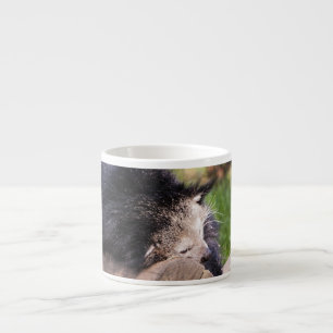 Tasse Expresso Binturong endormi