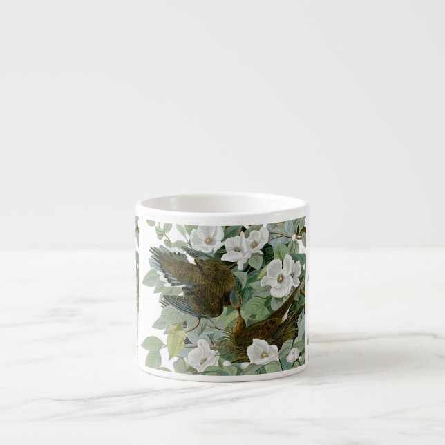 Tasse Expresso Carolina Pigeon Audubon Morning Dove (Devant)