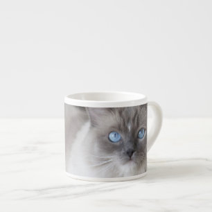 Tasse Expresso Chat à poupée femelle
