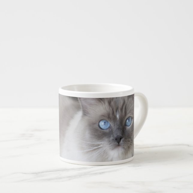 Tasse Expresso Chat à poupée femelle (Devant droit)