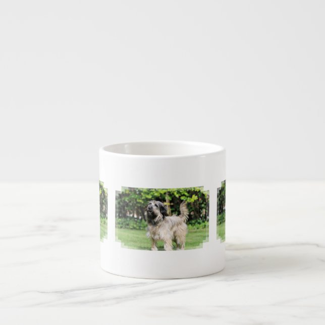 Tasse Expresso Chien de berger catalan - Peppa (Devant)