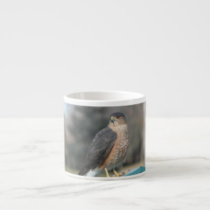 Tasse Expresso Coopers Hawk