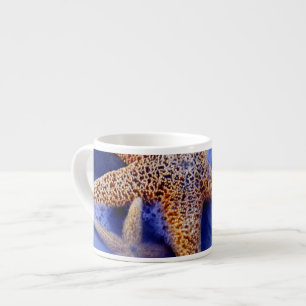 Tasse Expresso États-Unis, Caroline du Sud, Hilton Head Island. D