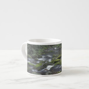 Tasse Expresso États-Unis, Tennessee, Great Smoky Mountains Natio