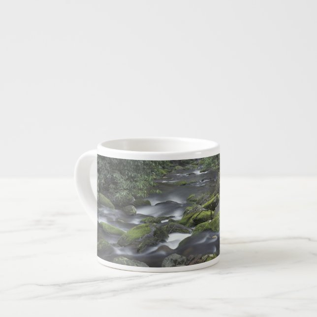 Tasse Expresso États-Unis, Tennessee, Great Smoky Mountains Natio (Devant gauche)