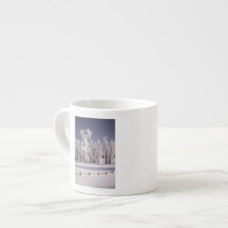 Tasse Expresso Frost a couvert les arbres et la barrière, le