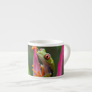 Tasse Expresso Grenouille à oeil rouge, Costa Rica