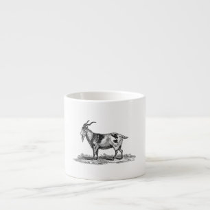 Tasse Expresso Illustration vintage de chèvre domestique -