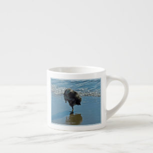 Tasse Expresso Keeshond Ballet Photographie - Joli chien d'origin