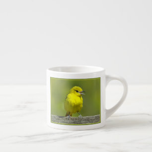 Tasse Expresso Loriole de verger - Photographie originale