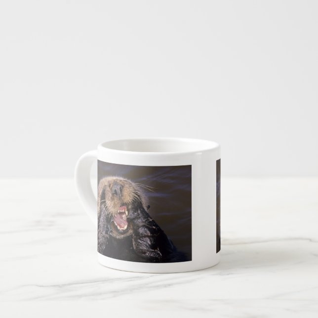 Tasse Expresso Loutres de mer, Enhydra lutris 6 (Devant gauche)