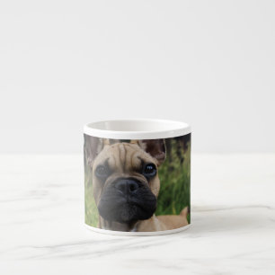Tasse Expresso Oreiller à lancer de chien de taureau français