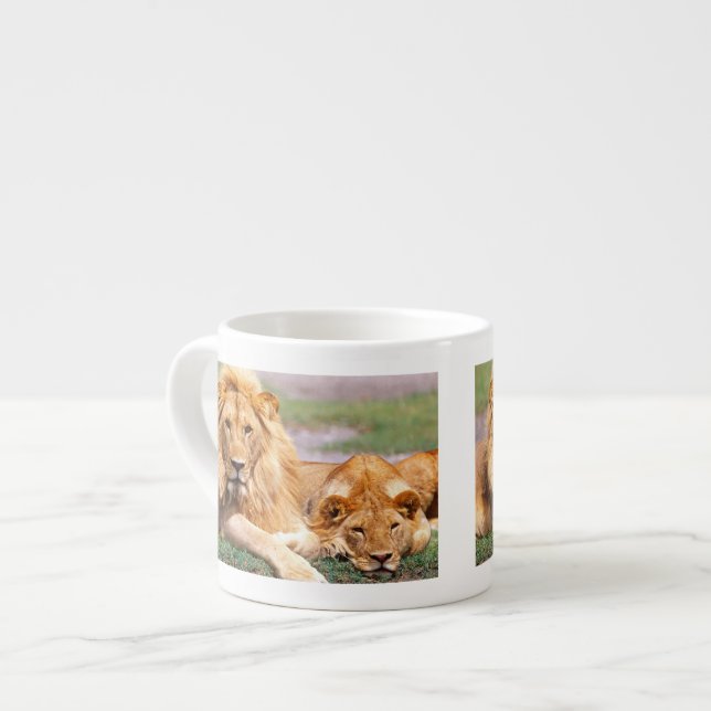 Tasse Expresso Paire de lions africains, Panthera leo, Tanzanie (Devant gauche)