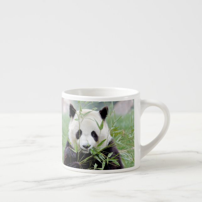 tasse expresso Panda géant photo. (Droite)