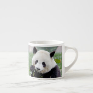 tasse expresso Panda géant photo.