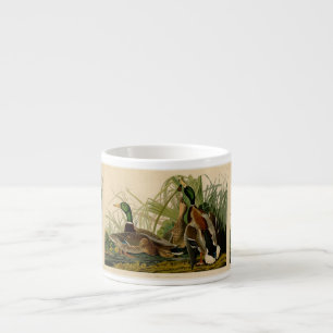 Tasse Expresso Peinture d'oiseaux de Mallard Duck Audubon