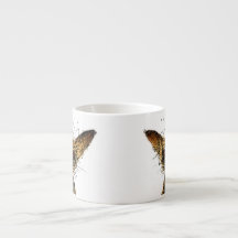 Petit chien miniature drôle mignon