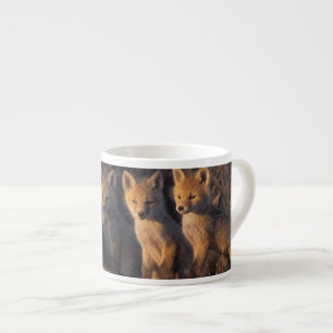 Tasse Expresso renard roux, Vulpes vulpes, kits