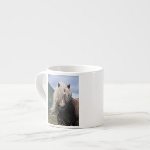 Tasse Expresso Royaume-Uni, Écosse, îles Shetland, poney Shetland