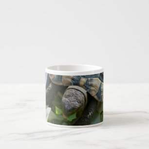 Tasse Expresso Tortue mignonne
