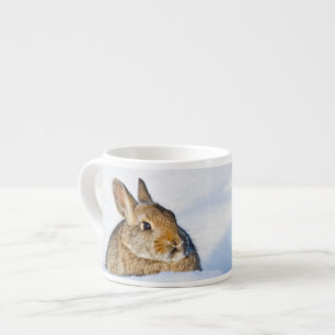 Tasse Expresso Wyoming, comté de Sublette, lapin de Nuttall