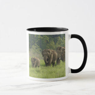 Tasse Famille d'éléphants indiens