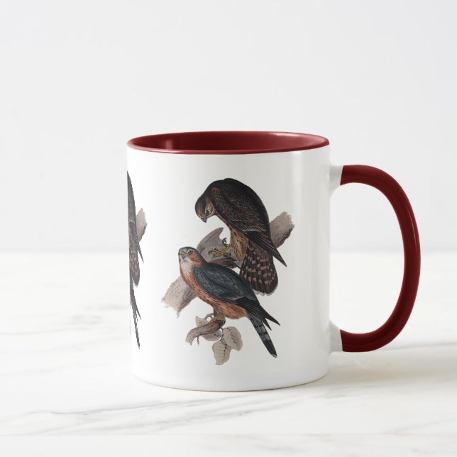 Tasse Faucon de MERLIN ou de pigeon (Droite)