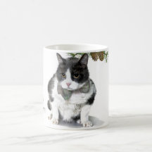 Tasse : Felix, le chat, campant en août