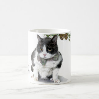 Tasse : Felix, le chat, campant en août